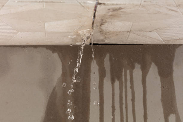 Professional Structural Drying technician working in Barberton, WA
